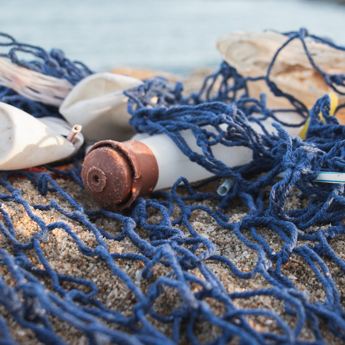 Les ravages de la pollution plastique de l'océan à la mer – Posidonie